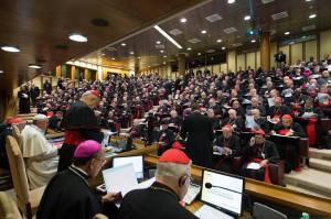 synod of bishops